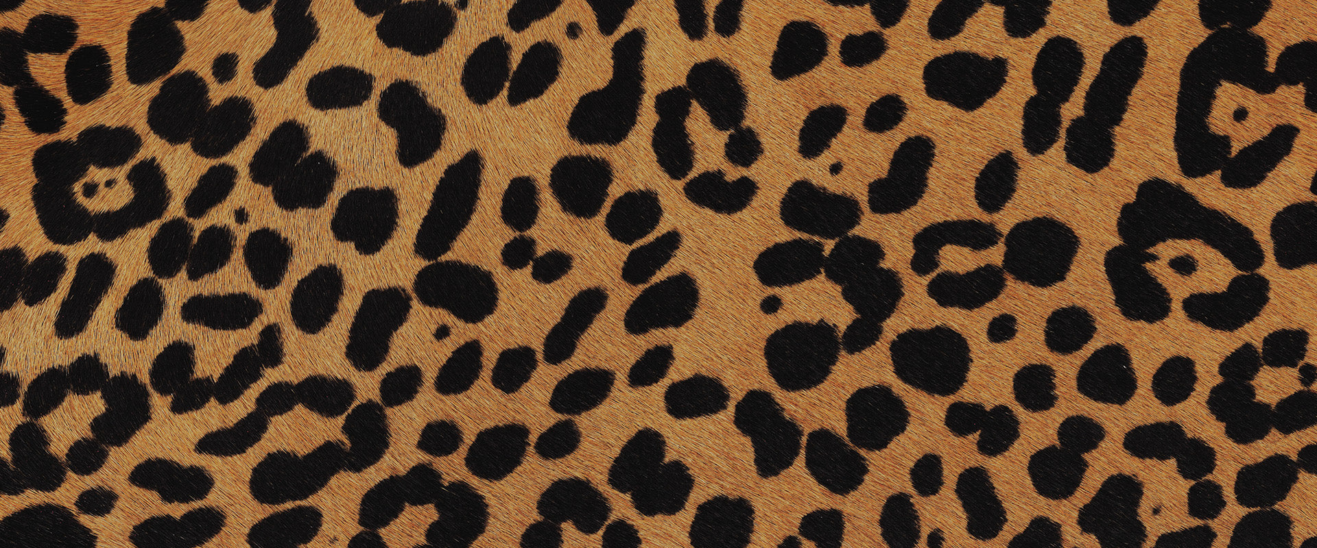  Dada sport preloved - seconde main